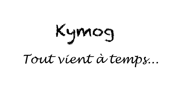 Daily-Life n°2, Kymog, Daily-Life,